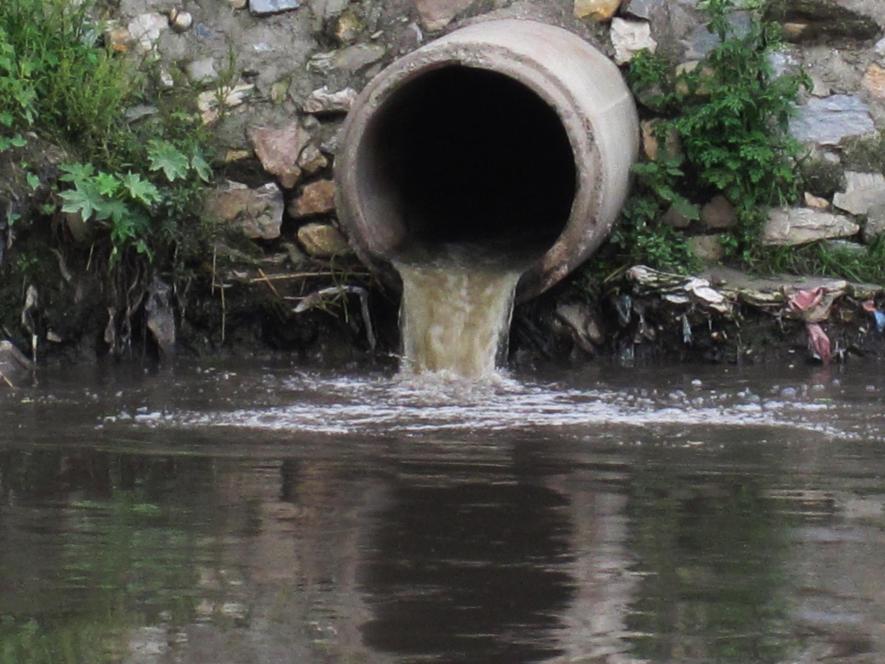 Coastal Sewage Pollution: Few Clusters Threaten Aquatic Ecosystems 