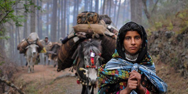 Locating agency – interrogating ‘adhikaar’ of Van Gujjar women at Rajaji National Park, Uttarakhand