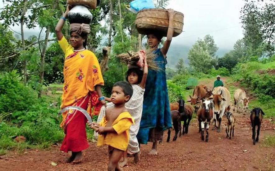  Are over 1,10,000 Adivasis & Forest Dwellers at risk of eviction and loss of livelihood?