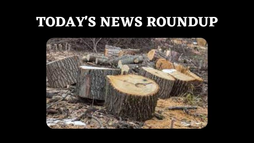 News Round up