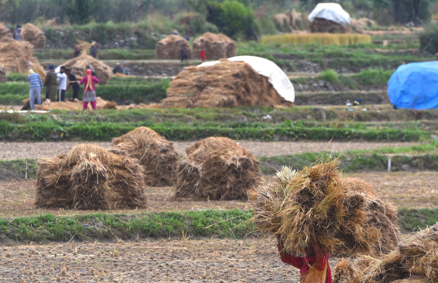 farmers