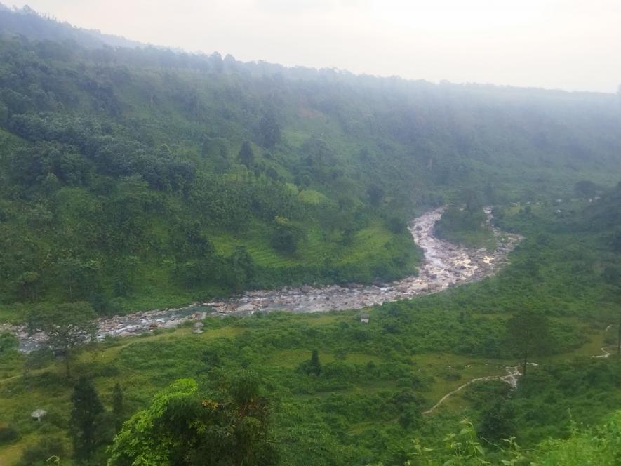 Bengal: Forest Workers Distressed due to Lack of Work, Becoming Migrant Labourers