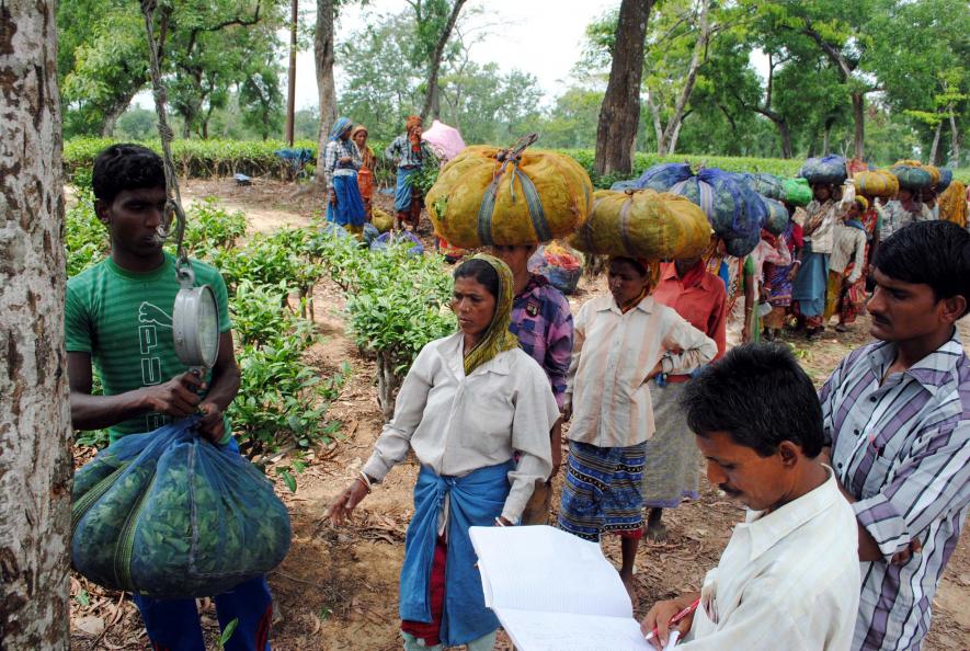 Tripura Elections: Opposition Upbeat Despite Fear of BJP's ‘Violent Ways’