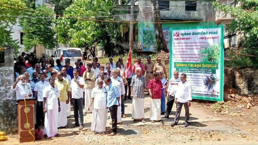 Kerala Coconut Farmers