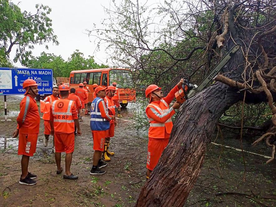 NDRF personnel clear trees uprooted following the landfall of Cyclone Biparjoy, in Gujarat. The intensity of cyclone Biparjoy which lashed the Saurashtra-Kutch region has reduced from 'very severe' to 'severe' category hours after making landfall in coastal areas of Gujarat. 