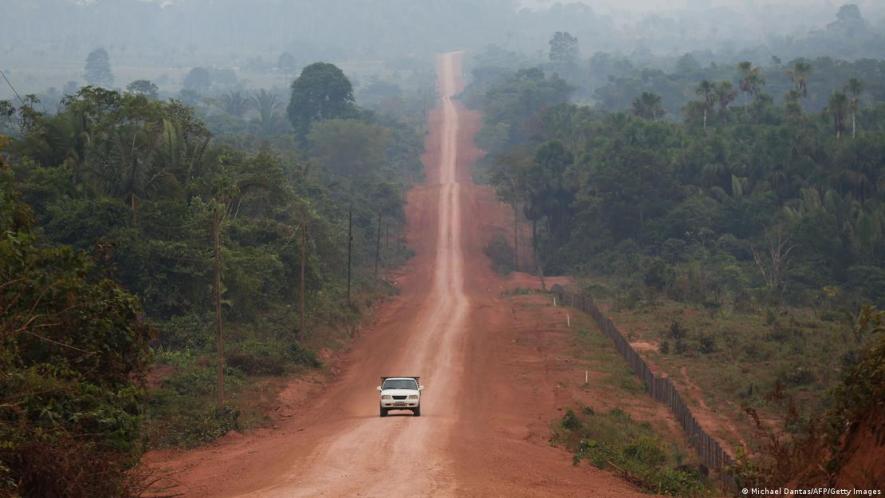 Forest fires, illegal deforestation, farming and infrastructure projects: The Amazon jungle continues to shrink