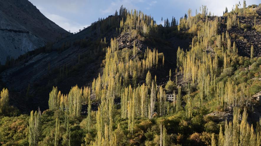 Taken on the way to Karg, Ladakh