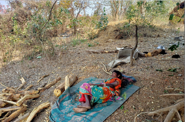 Dipika Sabar, of Bankura district’s Kulyam village, had applied for a patta eight years ago.