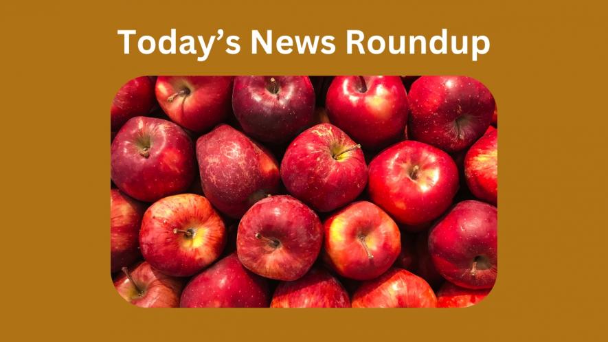 News round up