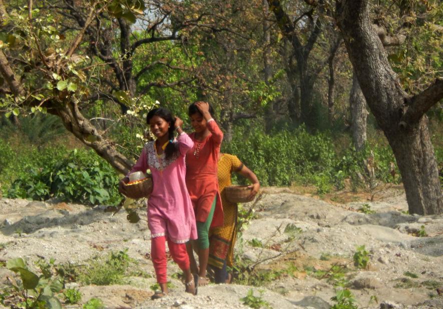 Mahua flowers being collected by women at Bhalukgenja village in Bankura, to be  distributed equally among all the women.