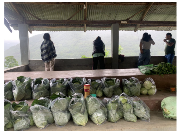 A vegetable stall on the outskirts of Kohima