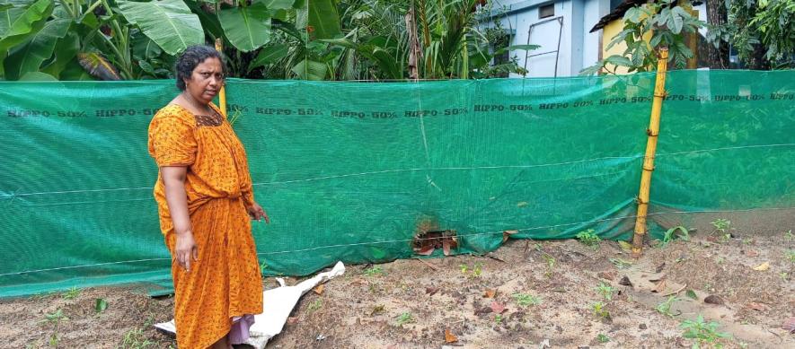 Girija in her leased land