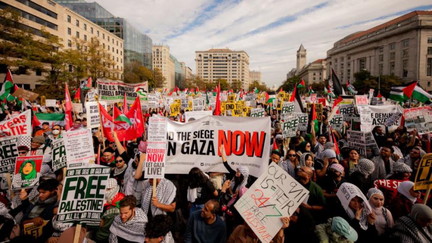 500,000 rallied in Freedom Plaza for Palestine on November 4 (Photo: Sofia Perez)