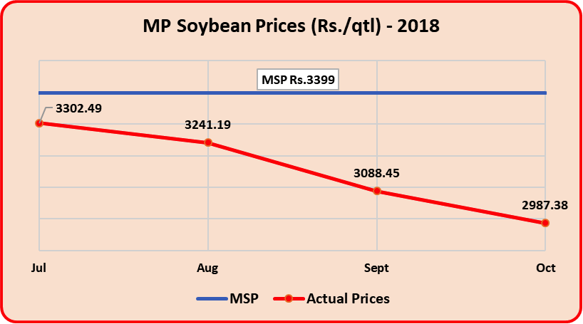 MP%20Soya.png