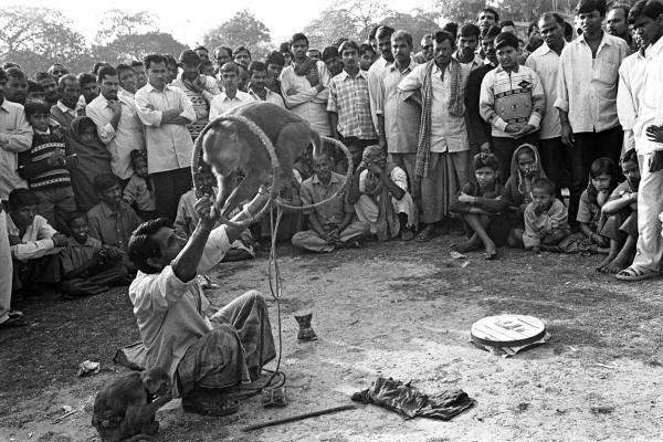 Street-Performer.jpg