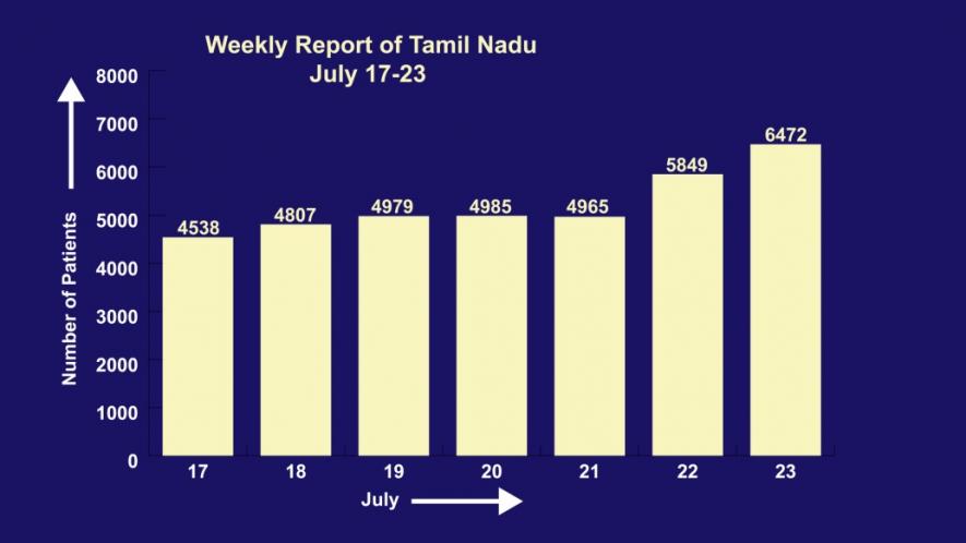 weekly report tn